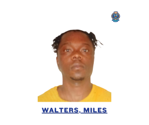 suspect